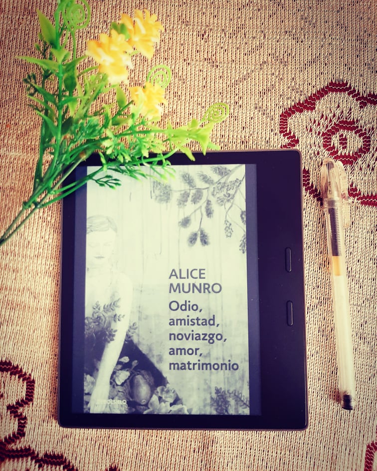 Odio, amistad, noviazgo, amor, matrimonio de Alice Munro